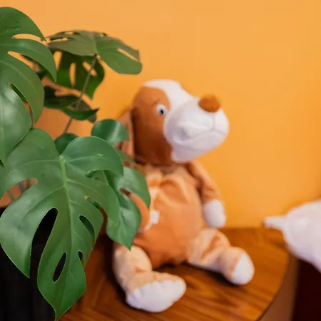 Christmas Star By Booklapland * ロヴァニエミ